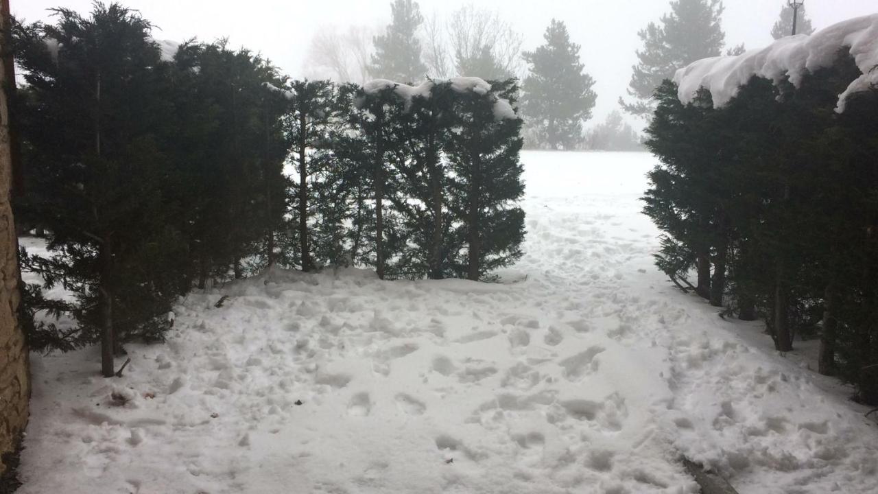 דירות Le Jardin De Font Romeu מראה חיצוני תמונה
